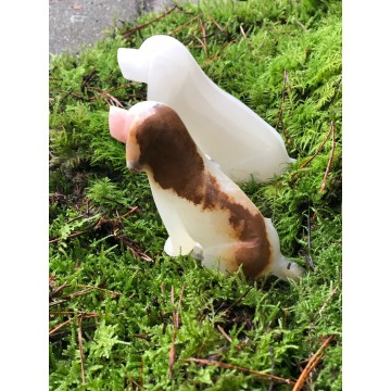 Arogonit Hund - krystaller og sten div. - GodKarmaShop