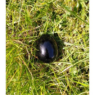 Obsidian æg 4.8 cm - krystaller og sten div. - GodKarmaShop