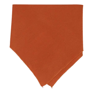 Little Savage – Bandana Bib – Rust