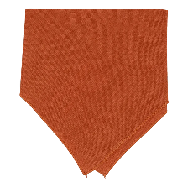 Little Savage – Bandana Bib – Rust