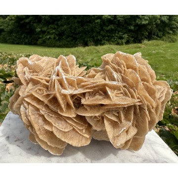 Sandrose 18 - Sandrose - GodKarmaShop